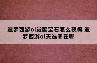 造梦西游ol觉醒宝石怎么获得 造梦西游ol天选阁在哪